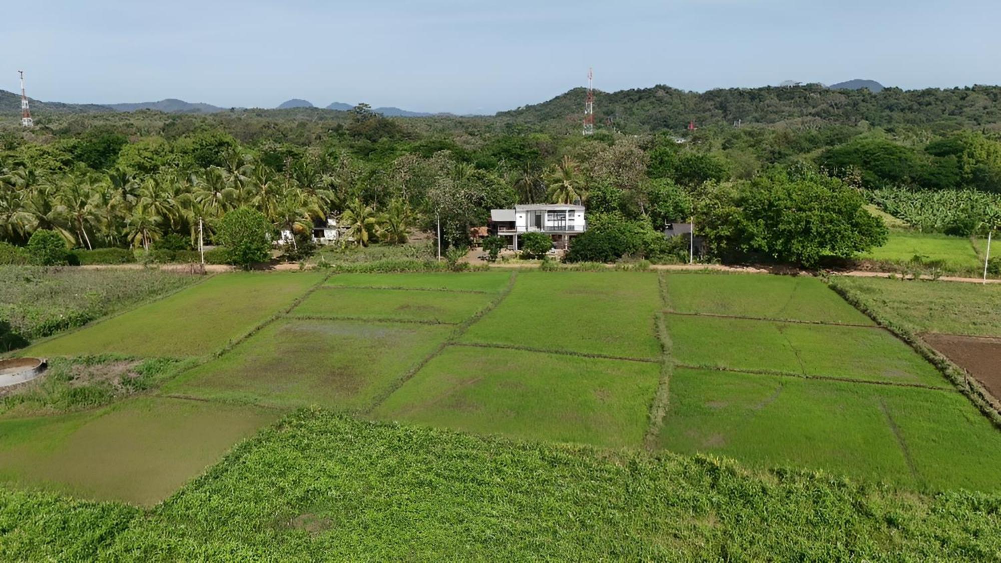 Ridge Boundary View Apartment Dambulla Exterior photo
